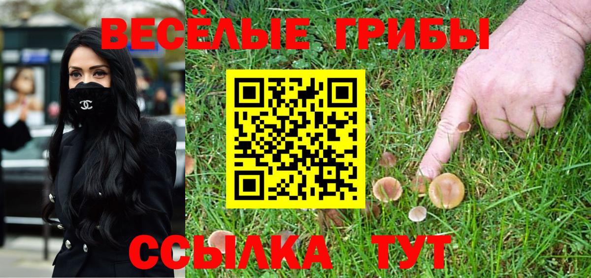 Партизанск  Псилоцибиновые грибы GOLDEN TEACHER  Вход с VPN 